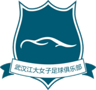 Wuhan Jiangda W