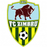 Zimbru