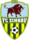 Zimbru Chisinau W badge