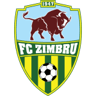 Zimbru II
